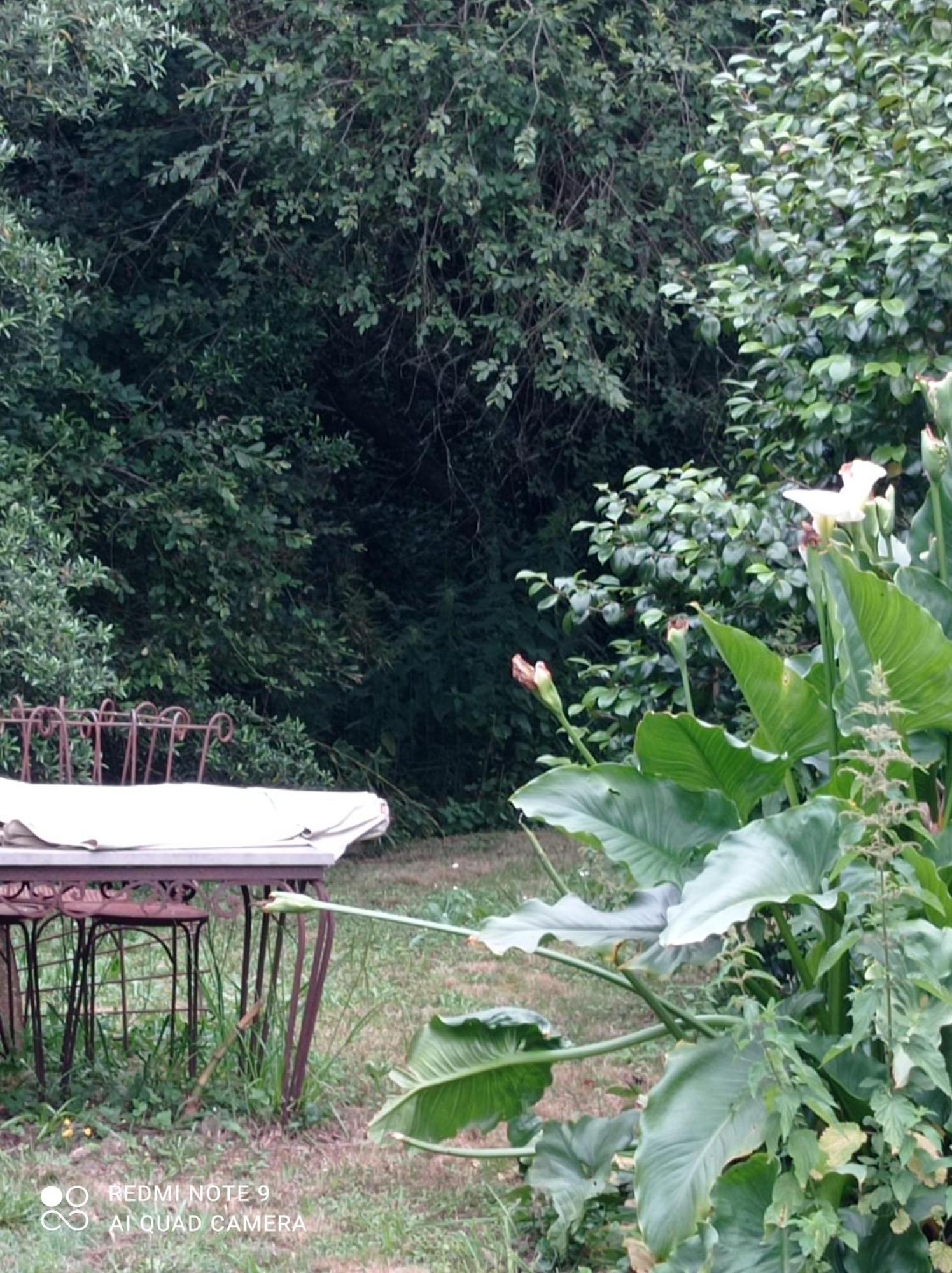 Rez-De-Jardin Piscine Chauffee Et Jardin Privatifs Villa Saint-Geours-de-Maremne Buitenkant foto